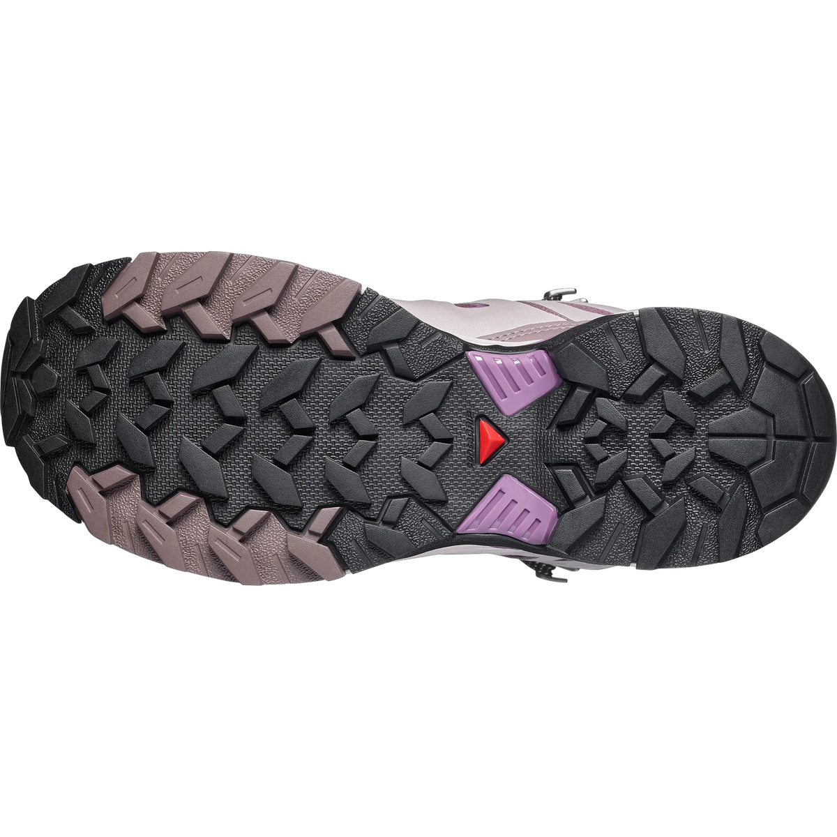 Huckleberry / Silver Cloud / Concord Grape